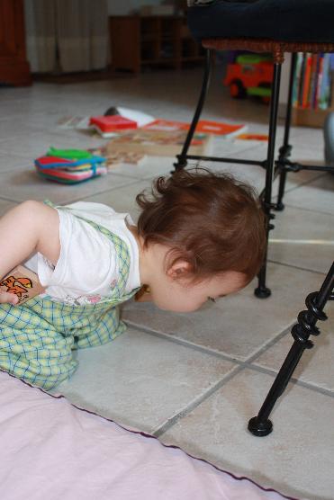 Le 24 juin -Je regards------>